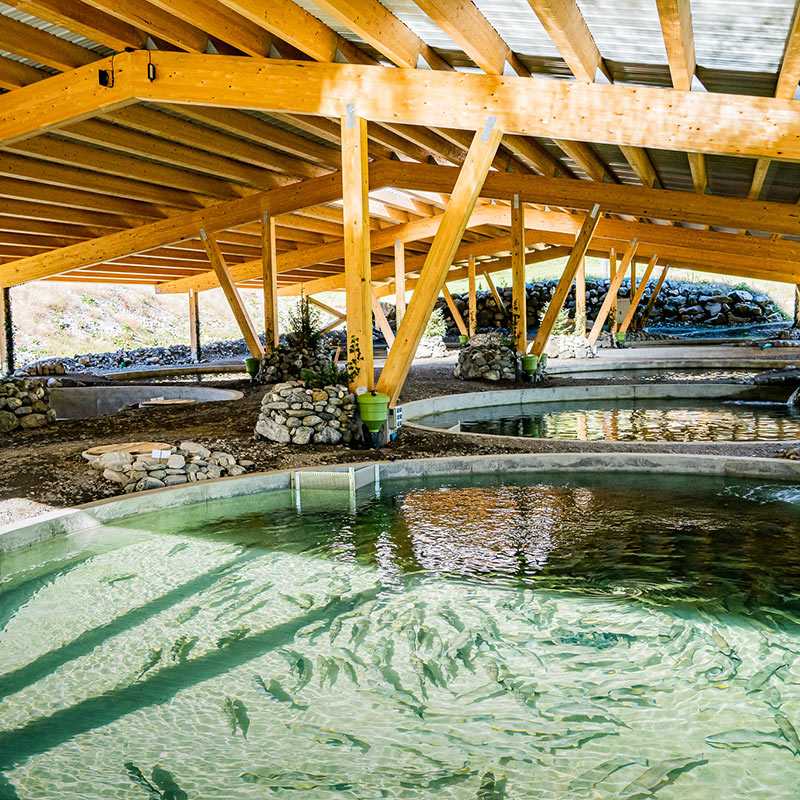 Muotapark Aquakultur